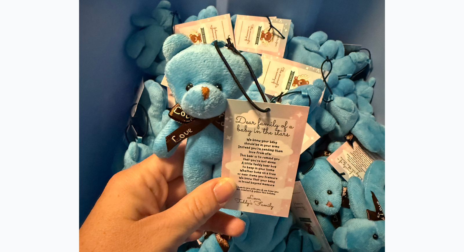 blue teddy bear ornaments with custom printed hang tags