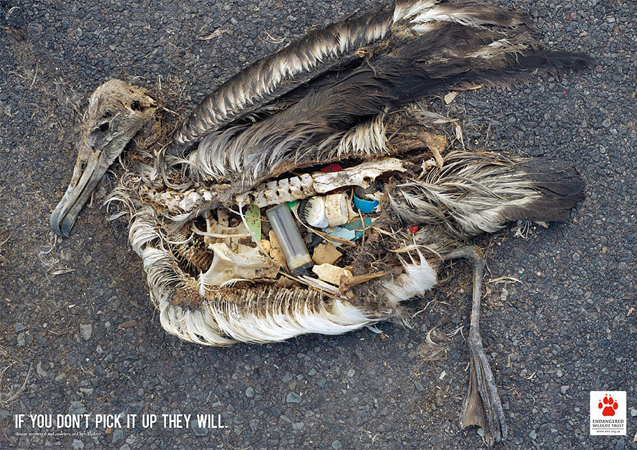 Environmental Awareness Posters and Advertisements - Sea Garbage