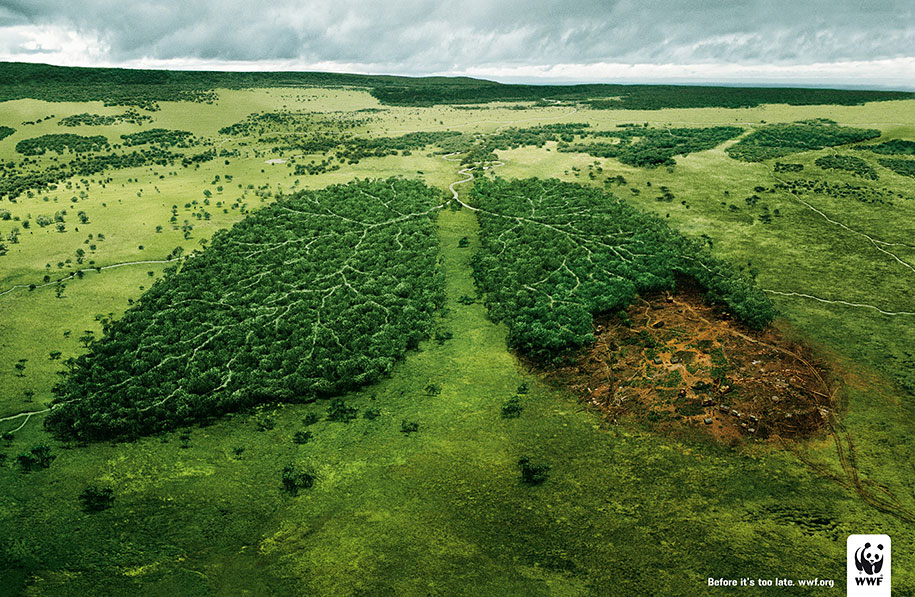 Environmental Awareness Posters and Advertisements - WWF Lungs