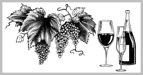 Wine Menu Design - Pen and Ink Illustration