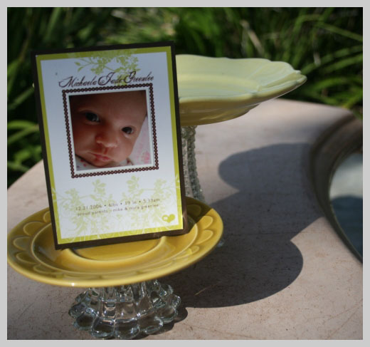 Custom Birth Announcement - Michelle Jade Greenlee