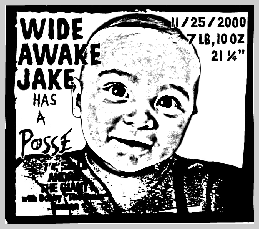 Custom Birth Announcement - Wide Awake Jake Has a Posse