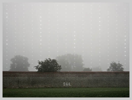 Digital Canvas Print - Fog