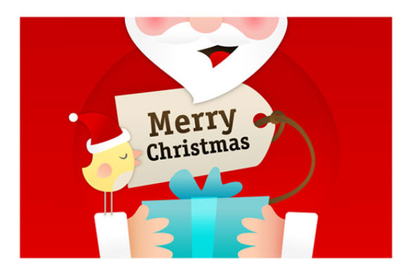 holiday card ideas 13 Holiday Card Ideas - Birdies Christmas Card