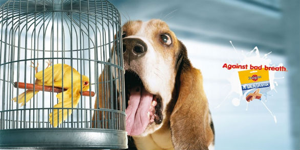 Promotional Banner Printing - Against Bad Breath