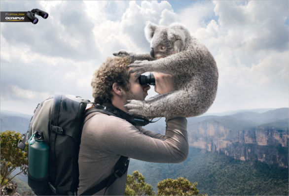 Promotional Banner Printing - Viewing Koala