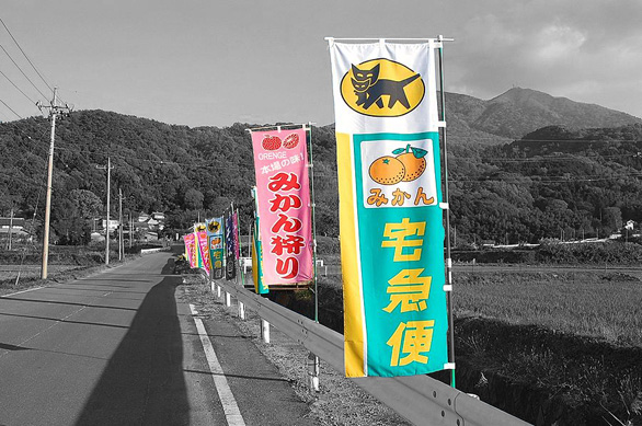 Banner Design Ideas Roadside