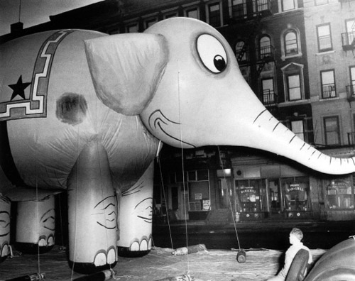 Old Pictures of New York - elephant