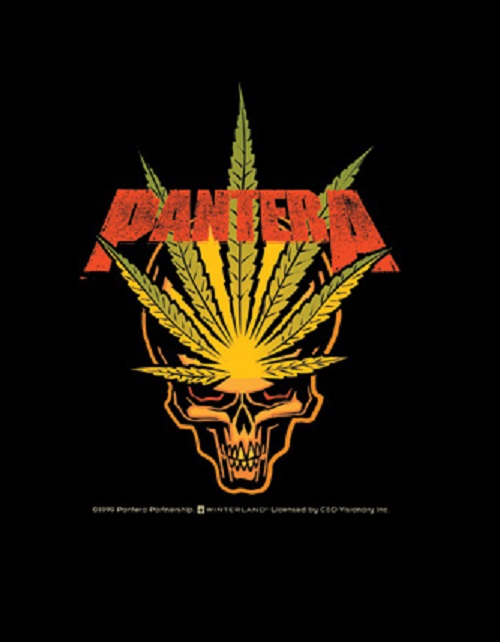 rock band stickers 17 rock band stickers - pantera