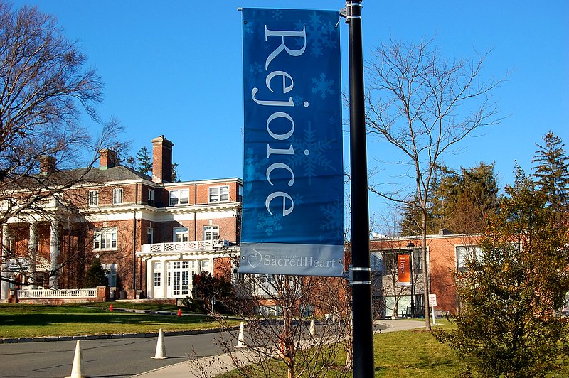 Vinyl Light Banner