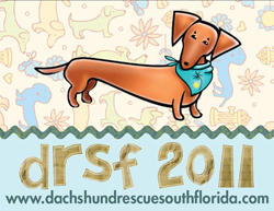 Dachshund Rescue South Florida Calendar