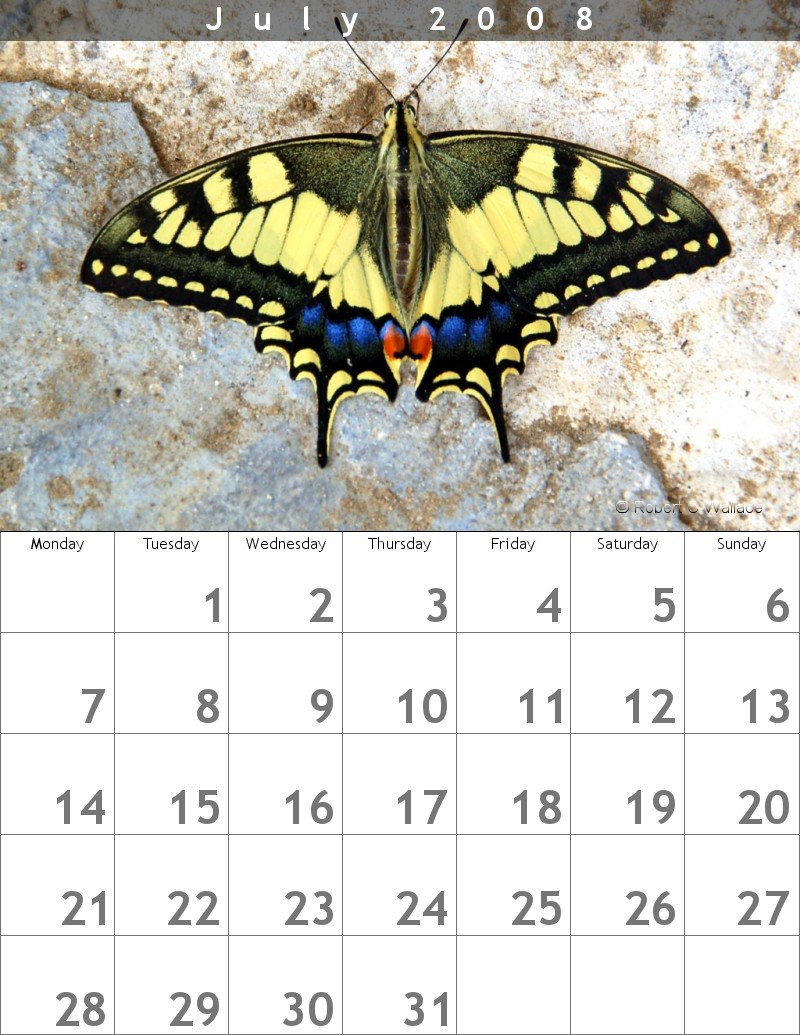 Calendar-Design-26 