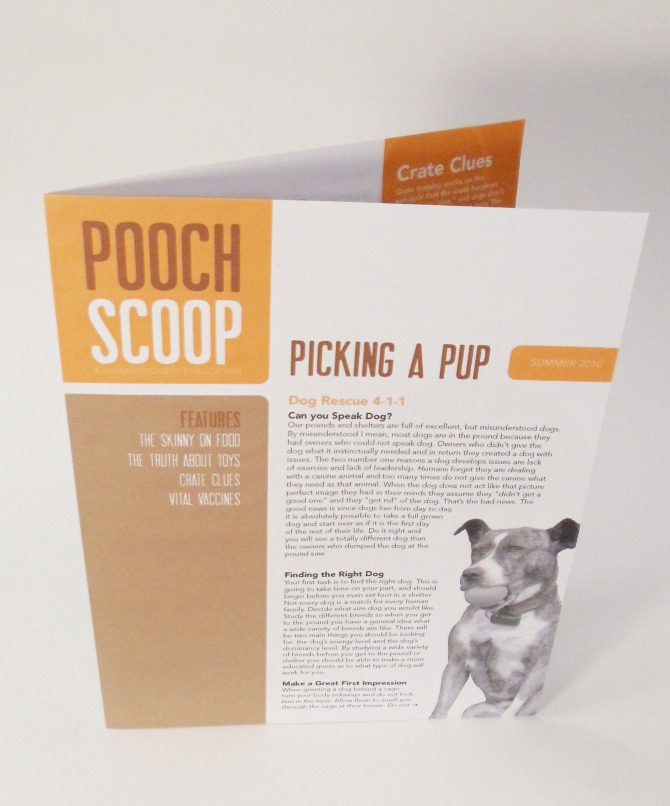 Pooch Scoop Newsletter