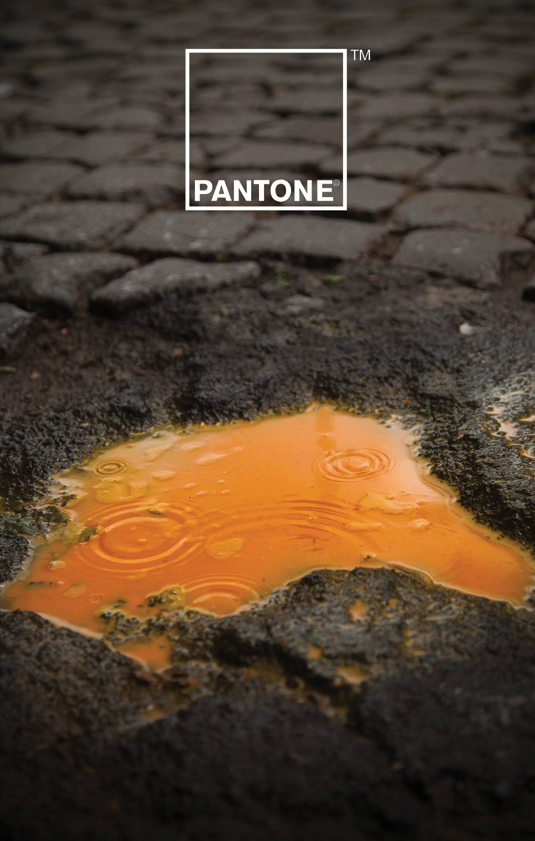 Pantone 10 Print Advertisements That Succeed - Pantone
