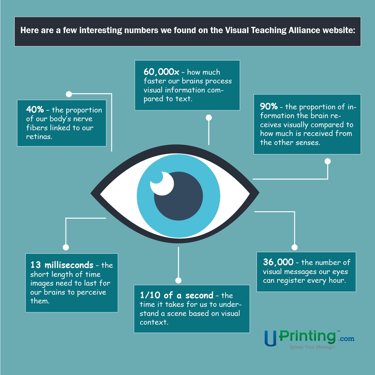 Did you know these vision facts? Vision facts graphic - effective visual motifs