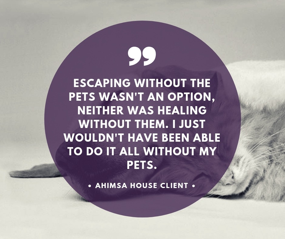 Ahimsa house client pet care testimony 