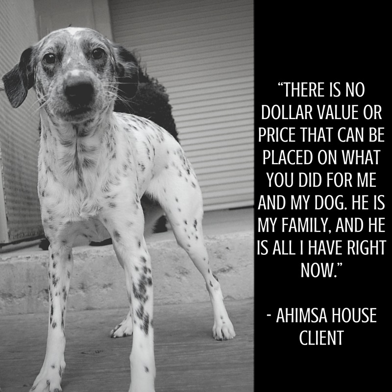 Ahimsa house client testimonial 