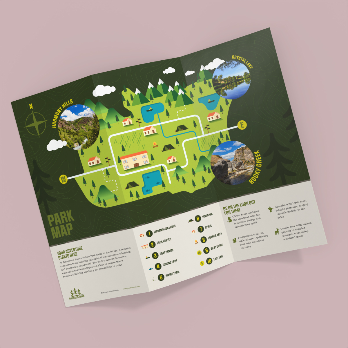 Explore these 5 creative ways to use brochure article image - Map
